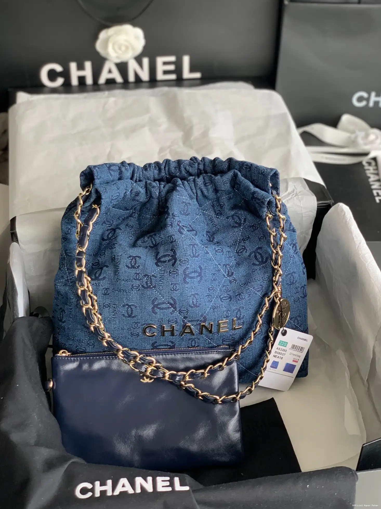 HyperPeter CHANEL SMALL 22 HANDBAG 0610